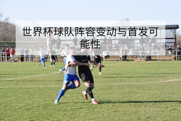 综合体育国际赛事积分榜与晋级计算器